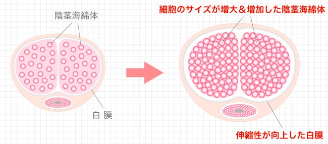 パワーポンプ|パワーゲージのオンラインショップ